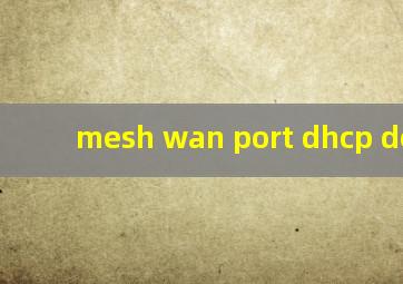 mesh wan port dhcp detect